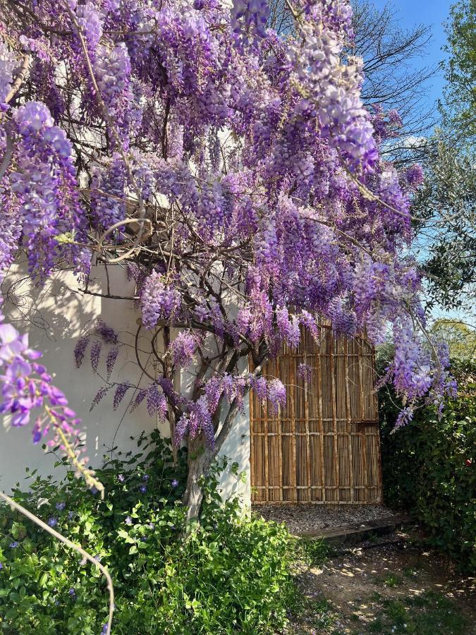 All'ombra Del Tiglio Farm stay Pistoia