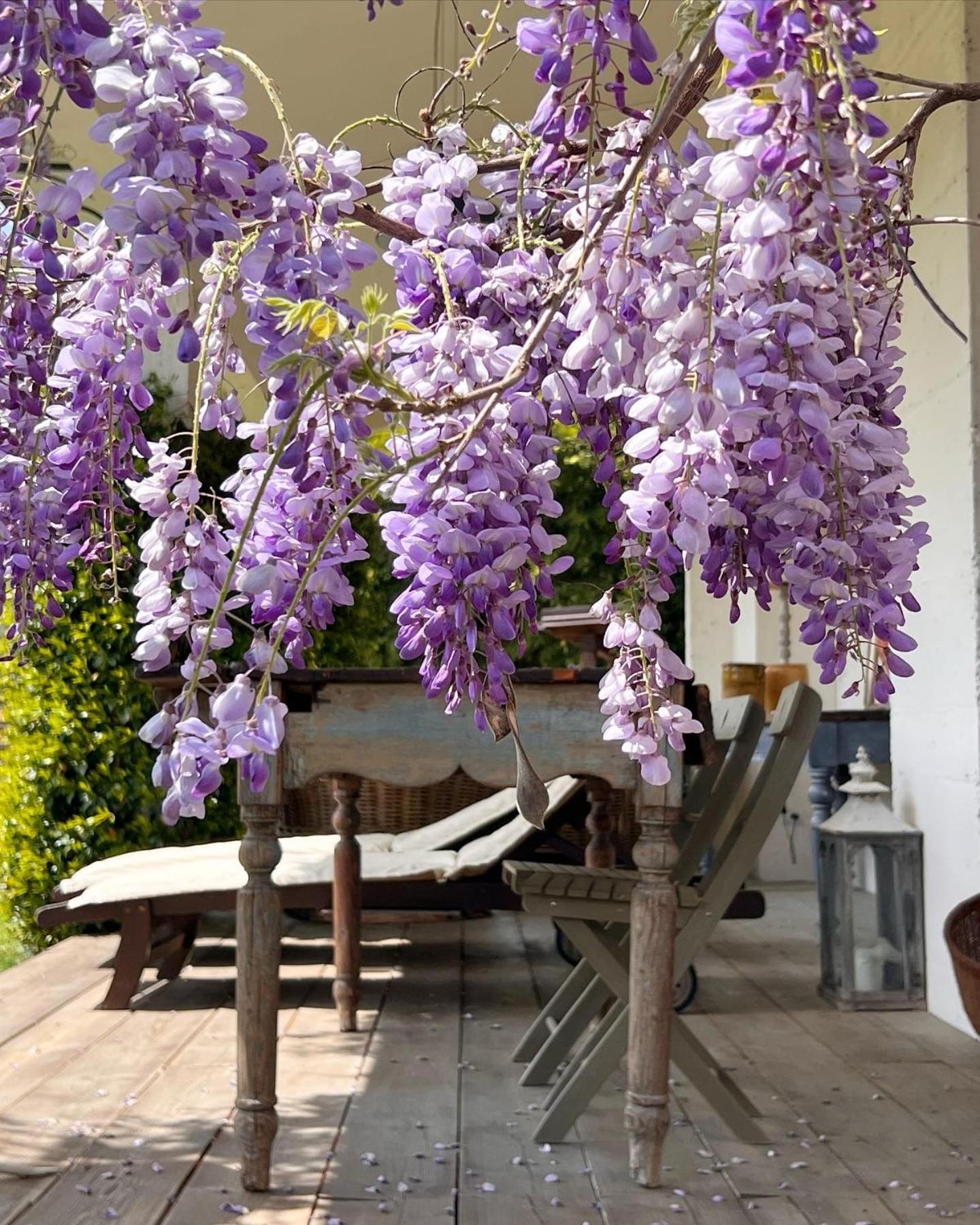 Farm stay All'ombra Del Tiglio *